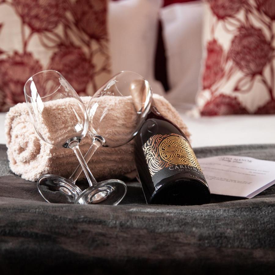 مبيت وإفطار ويلينغتون Ayama Wine Farm - Manor House المظهر الخارجي الصورة
