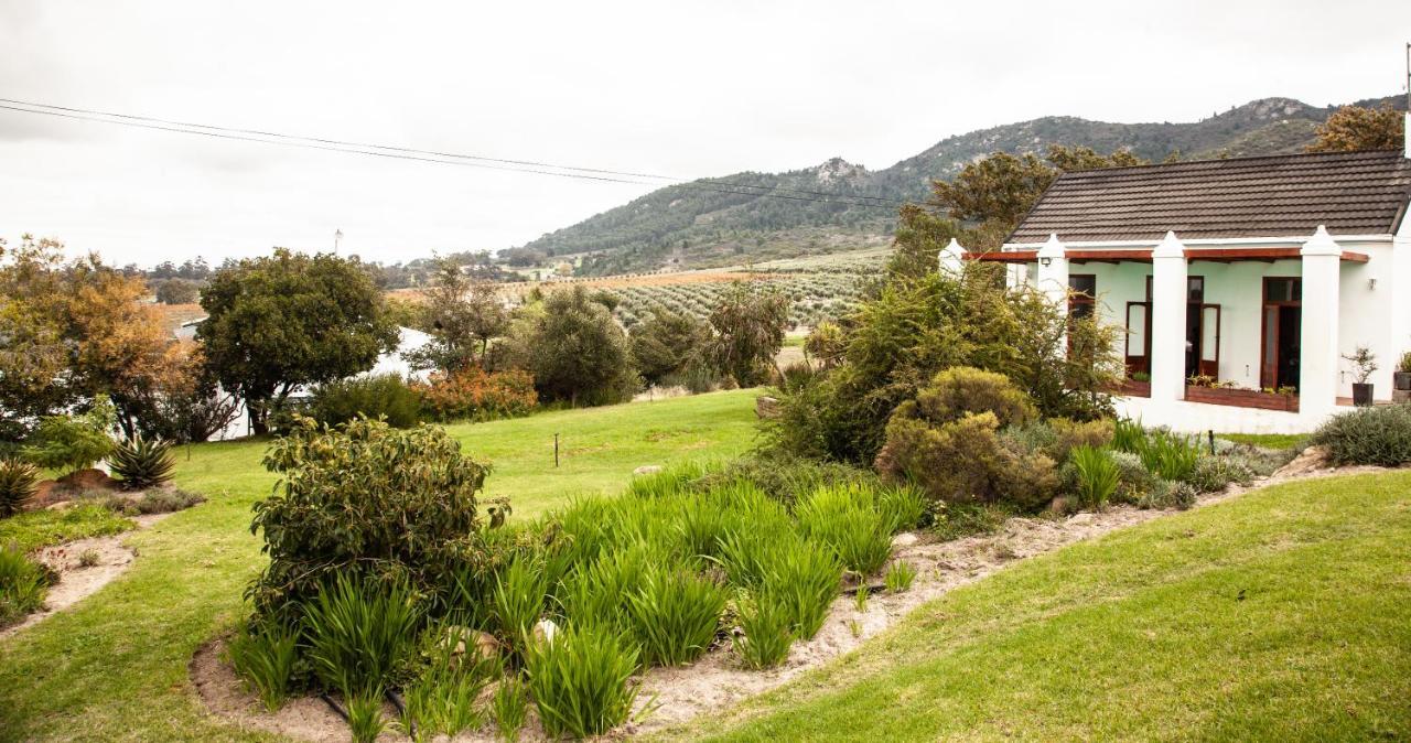 مبيت وإفطار ويلينغتون Ayama Wine Farm - Manor House المظهر الخارجي الصورة