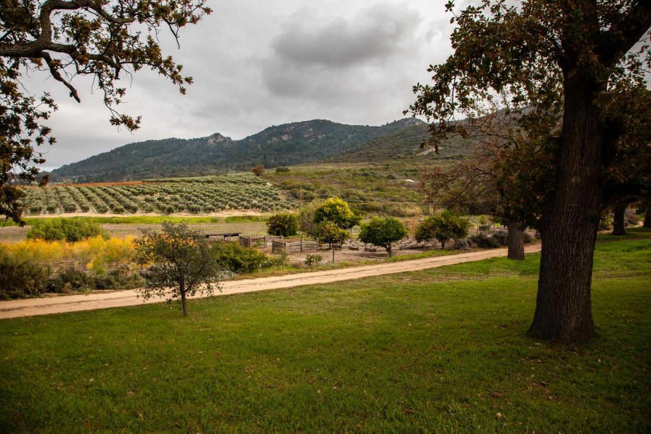 مبيت وإفطار ويلينغتون Ayama Wine Farm - Manor House المظهر الخارجي الصورة
