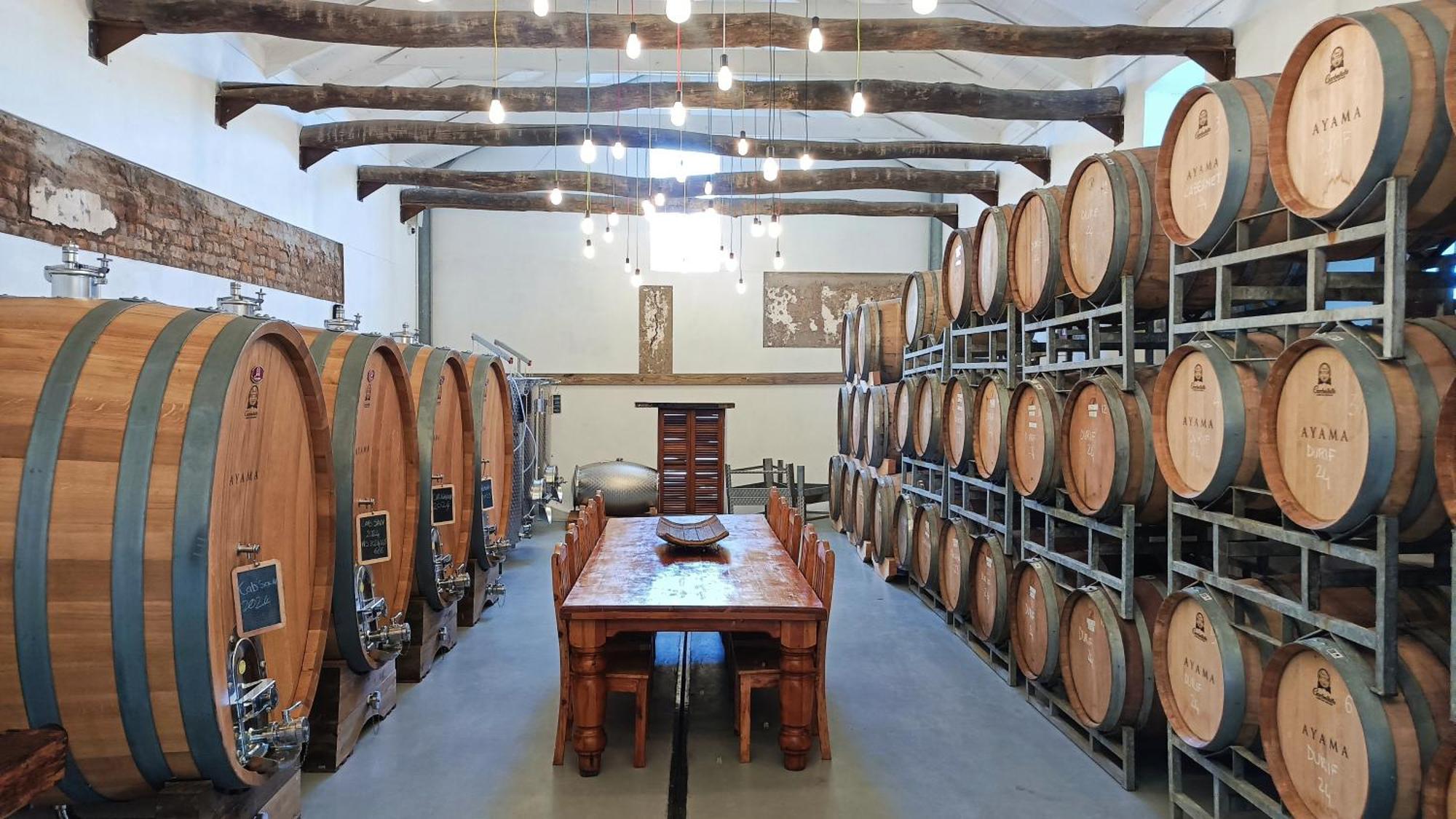 مبيت وإفطار ويلينغتون Ayama Wine Farm - Manor House المظهر الخارجي الصورة